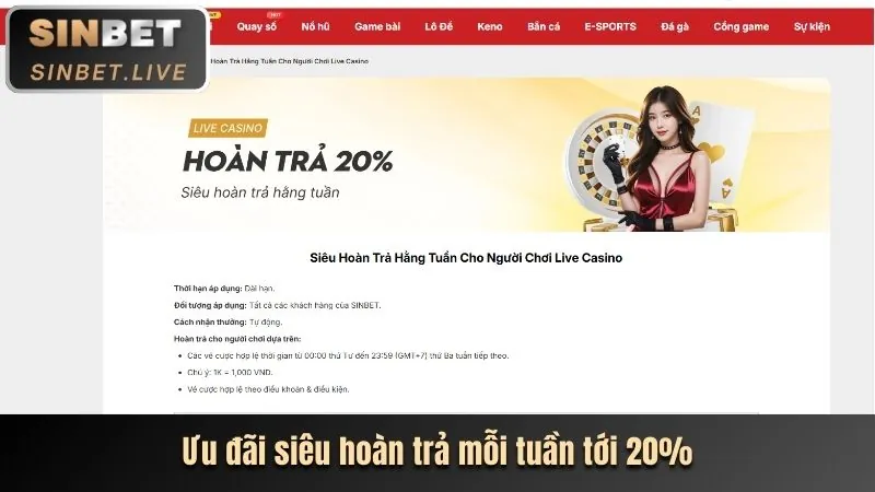 Hỗ trợ khách hàng chuyên nghiệp tại vn69 casino
